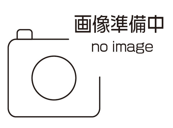 低圧開閉器<b>BD-T21 DC100V 1A2B</b>