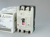 漏電遮断器(NV) <b>NV63-CV 2P 60A 100-240VAC 30mA</b>